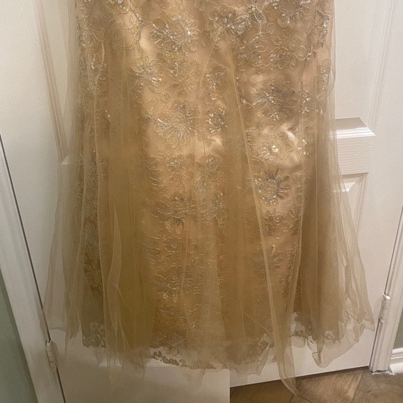 Evening Gown - Picture 5 of 8